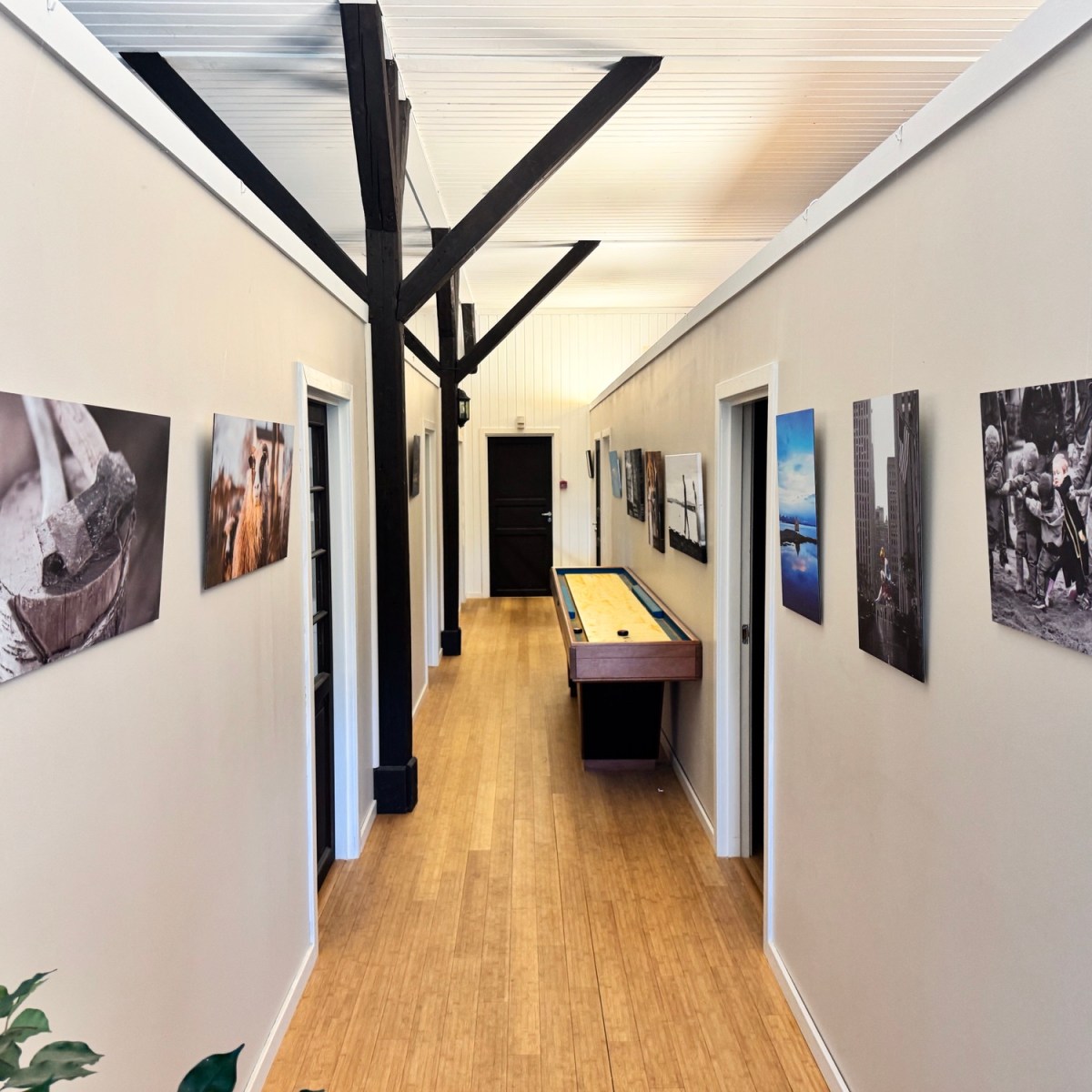 Min første «utstilling»