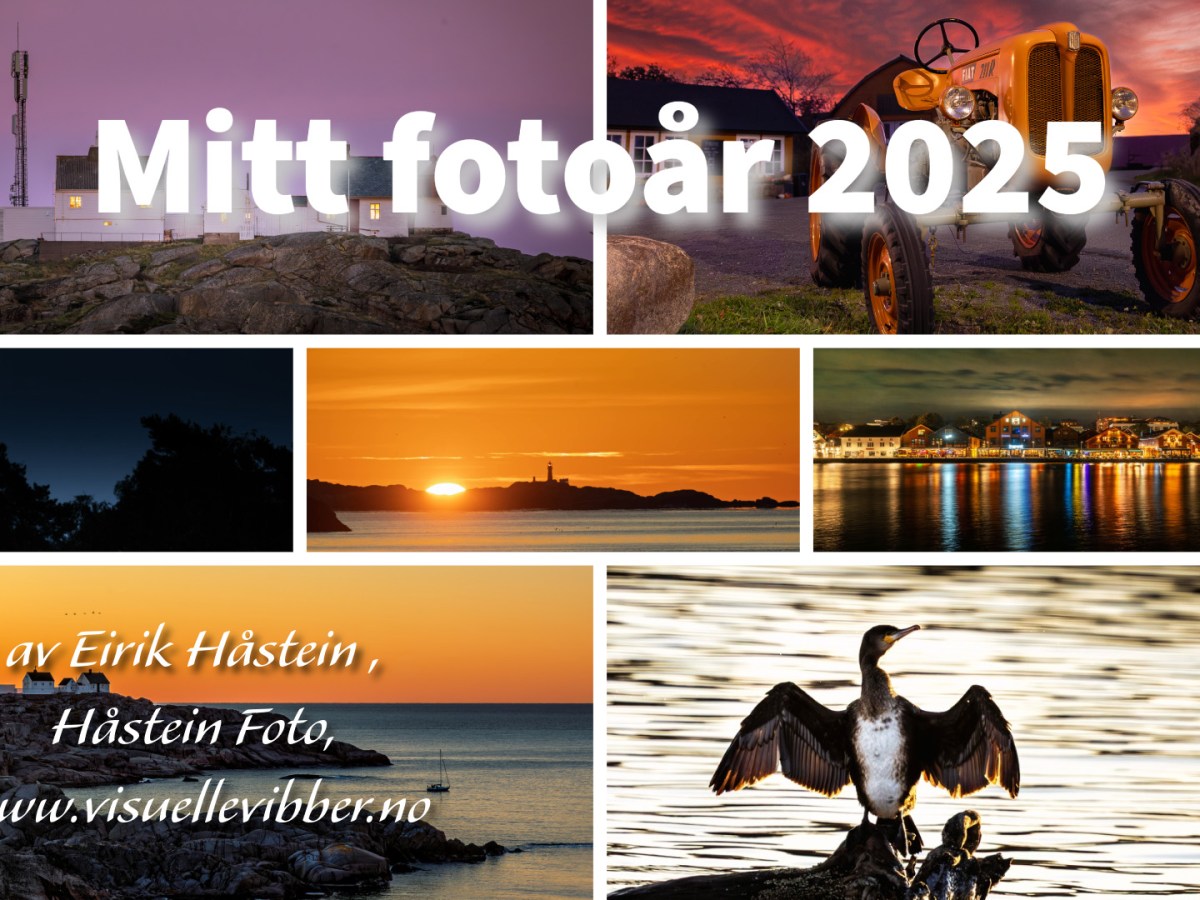 Fotoåret 2025
