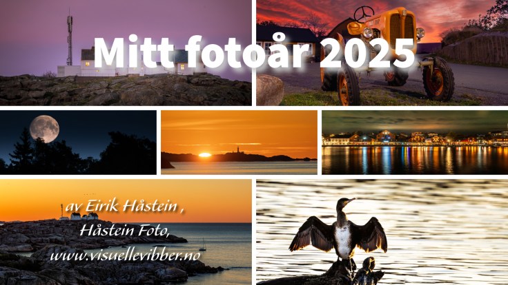 Fotoåret 2025